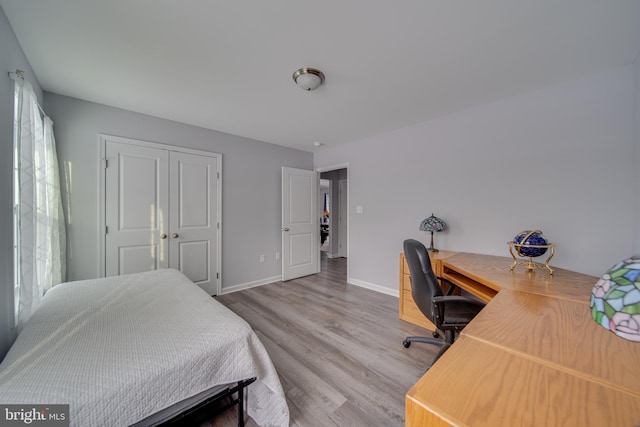 bedroom featuring wood-type flooring and a closet