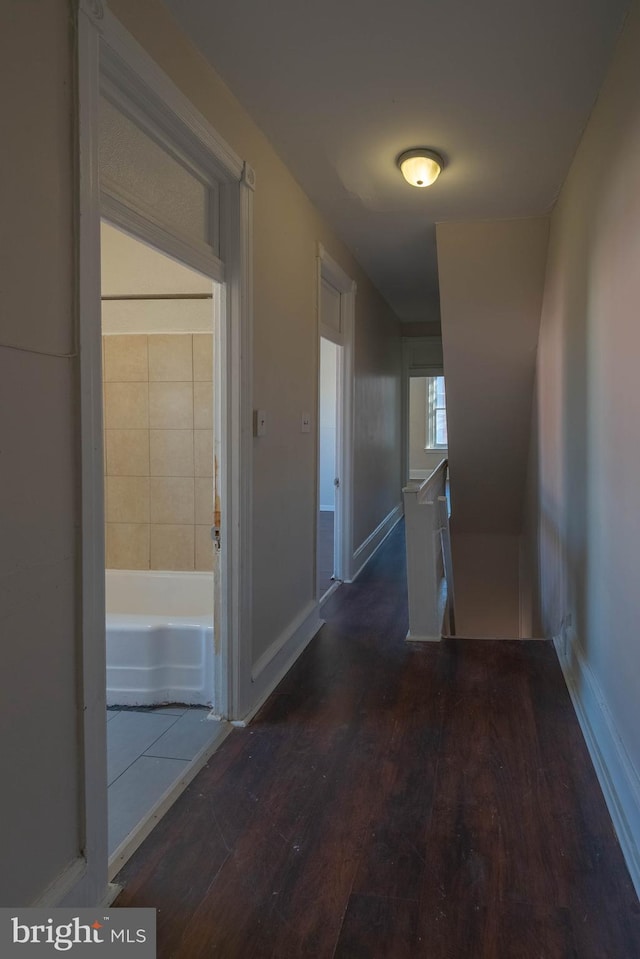 hallway featuring dark wood-type flooring