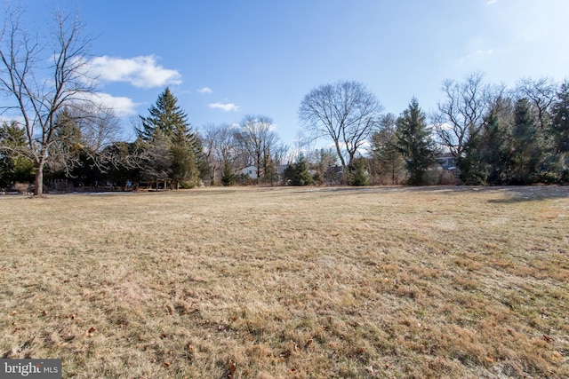 view of yard with a rural view