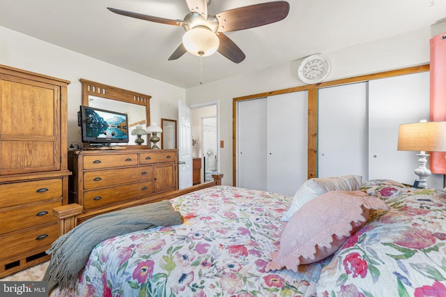 bedroom with ceiling fan and multiple closets