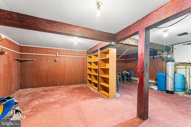 basement featuring wooden walls