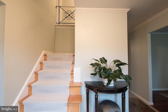 staircase with baseboards and ornamental molding