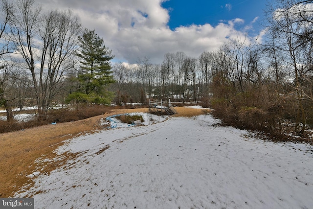 view of yard covered in snow