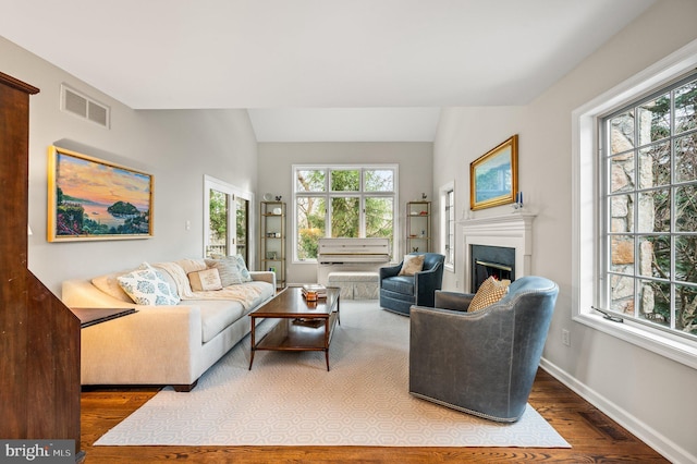 living room featuring wood-type flooring and vaulted ceiling