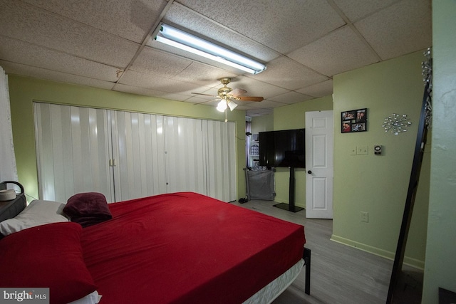 bedroom featuring hardwood / wood-style flooring, a drop ceiling, and ceiling fan