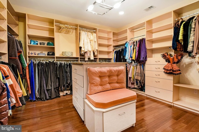 walk in closet featuring wood-type flooring