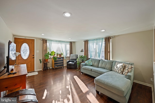 living room with dark hardwood / wood-style flooring