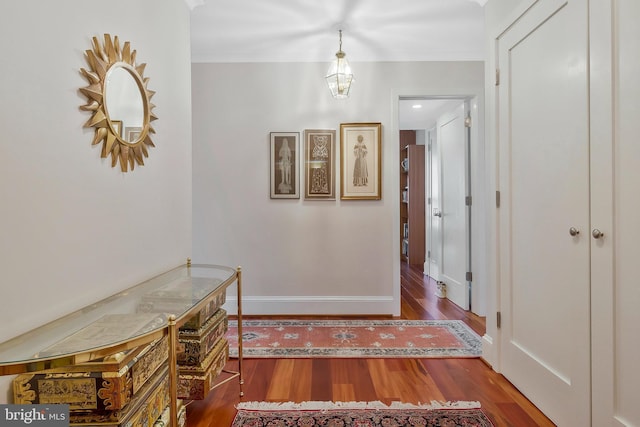 corridor with dark hardwood / wood-style floors