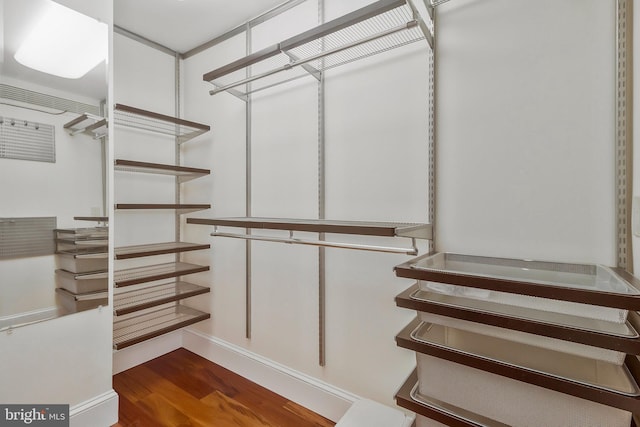 walk in closet featuring dark wood-type flooring