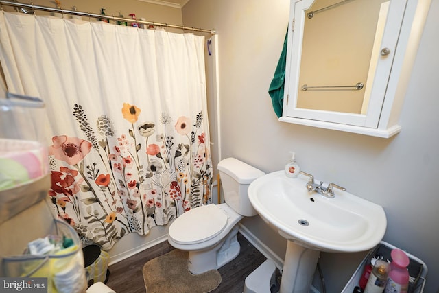 bathroom with hardwood / wood-style flooring, sink, and toilet