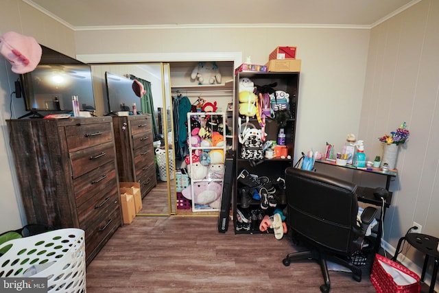 office area featuring hardwood / wood-style flooring and ornamental molding