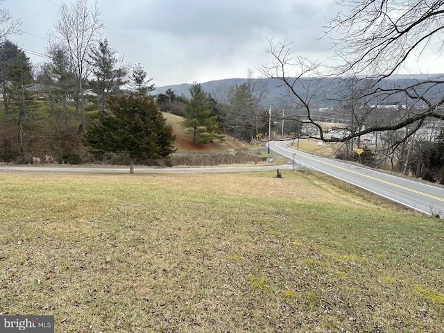 view of yard featuring a mountain view