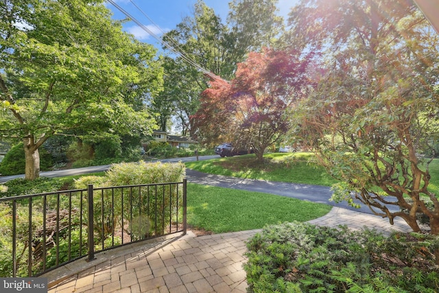 1113 Cameron Rd, Alexandria, VA 22308 - view of patio / terrace