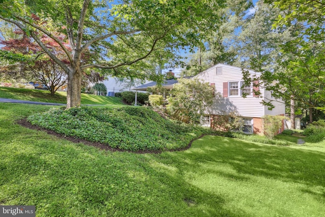 1113 Cameron Rd, Alexandria, VA 22308 - view of green lawn