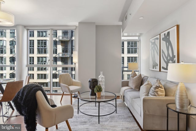 living room featuring floor to ceiling windows and wood-type flooring