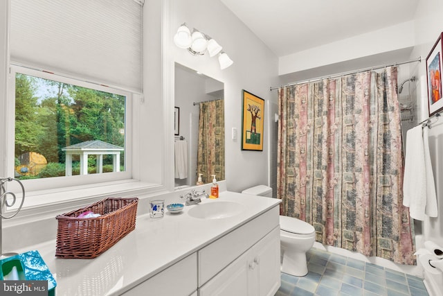 bathroom with toilet and vanity