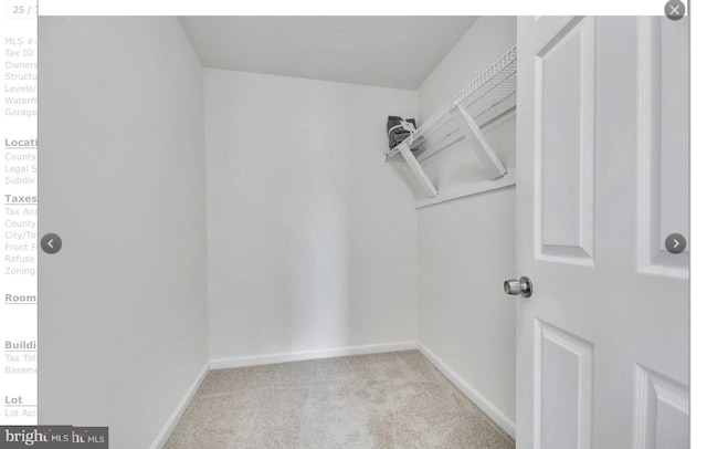 spacious closet with light carpet