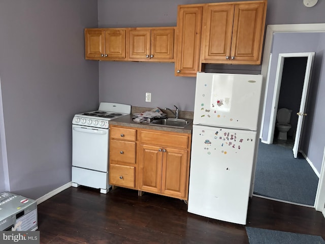 kitchen featuring dark hardwood / wood-style flooring, sink, and white appliances