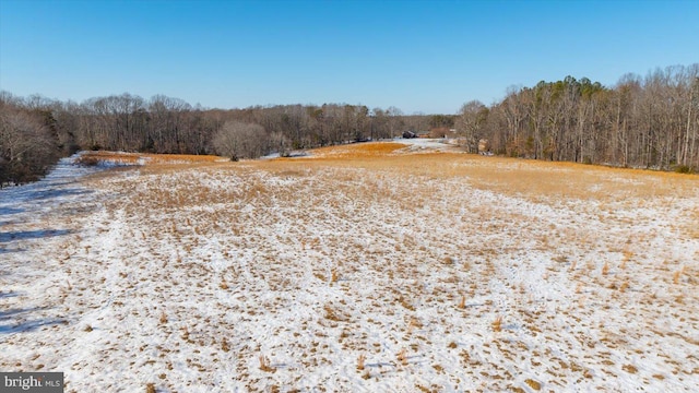 view of local wilderness