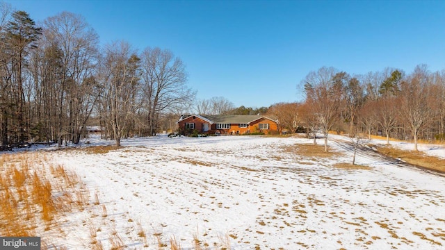 view of yard covered in snow