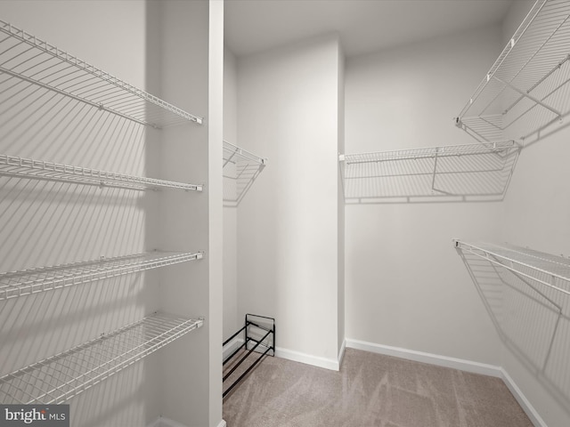 spacious closet with light colored carpet