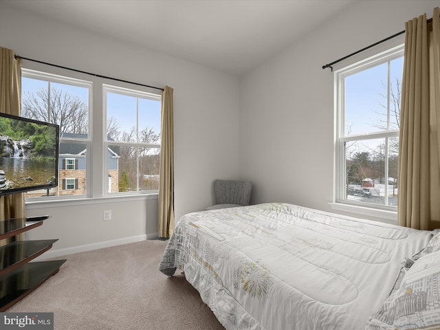 bedroom with carpet floors