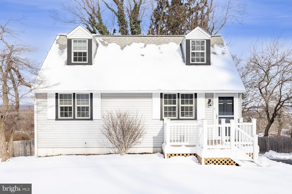 view of cape cod home