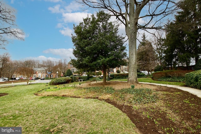 view of property's community with a lawn