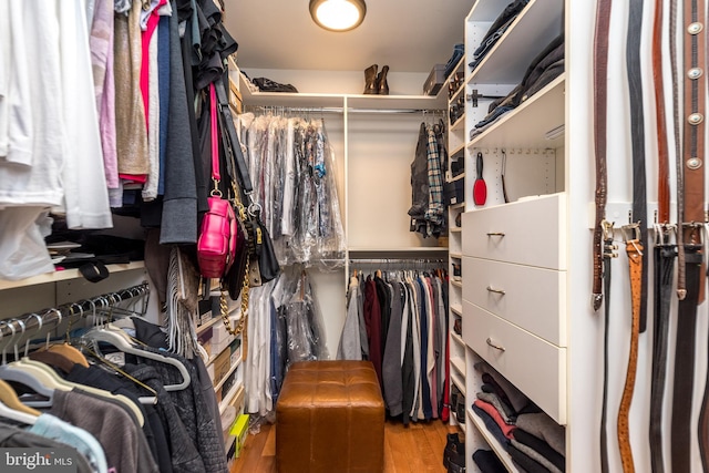 walk in closet with wood-type flooring