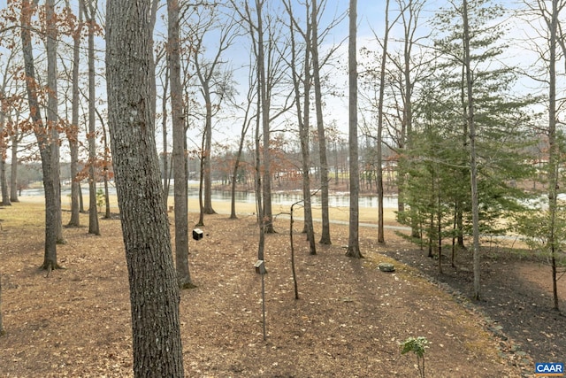 view of yard with a water view