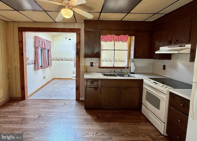 kitchen featuring dark brown cabinetry, dark wood-type flooring, white range with electric stovetop, sink, and ceiling fan