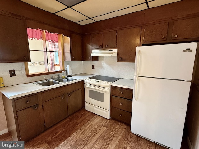 kitchen featuring a drop ceiling, sink, white appliances, and hardwood / wood-style flooring