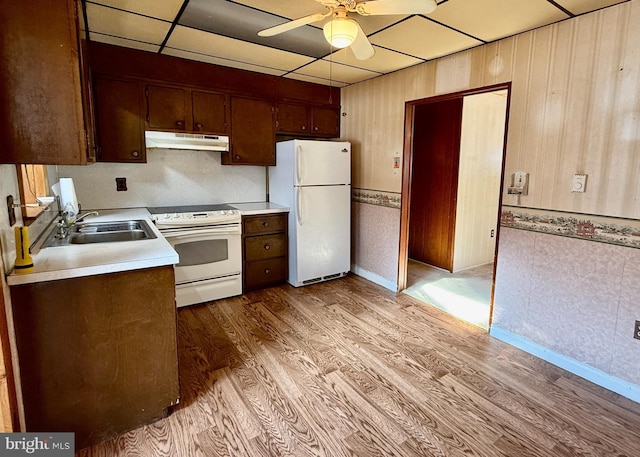 kitchen with light hardwood / wood-style floors, ceiling fan, white appliances, a drop ceiling, and sink