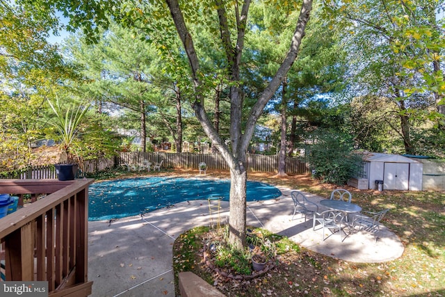 view of swimming pool with a storage shed and a patio area