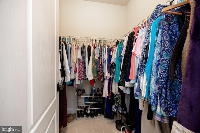 walk in closet with carpet flooring