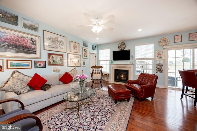 living room featuring ceiling fan, dark hardwood / wood-style flooring, and a healthy amount of sunlight