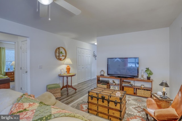 living room with ceiling fan and light wood-type flooring