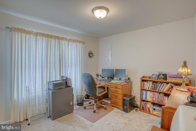 office featuring carpet flooring