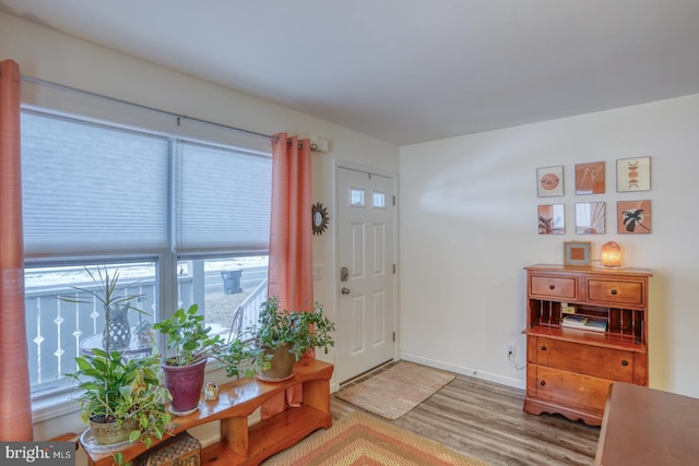 foyer with hardwood / wood-style floors