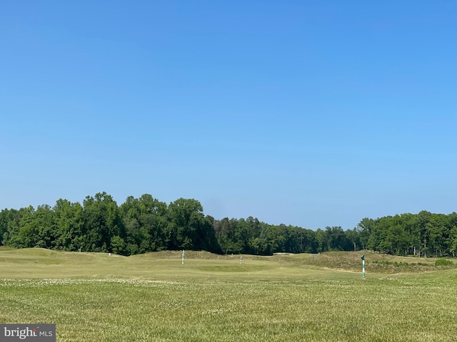 view of home's community with a yard