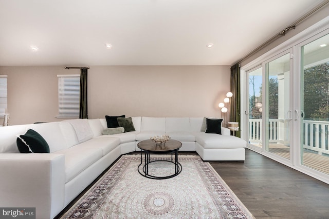 living room with dark hardwood / wood-style floors