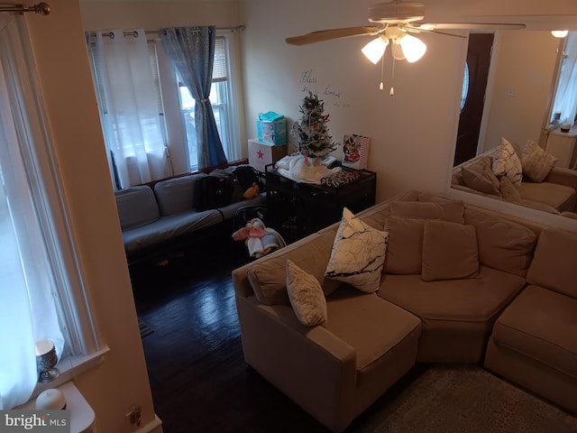 living room with ceiling fan and dark hardwood / wood-style flooring