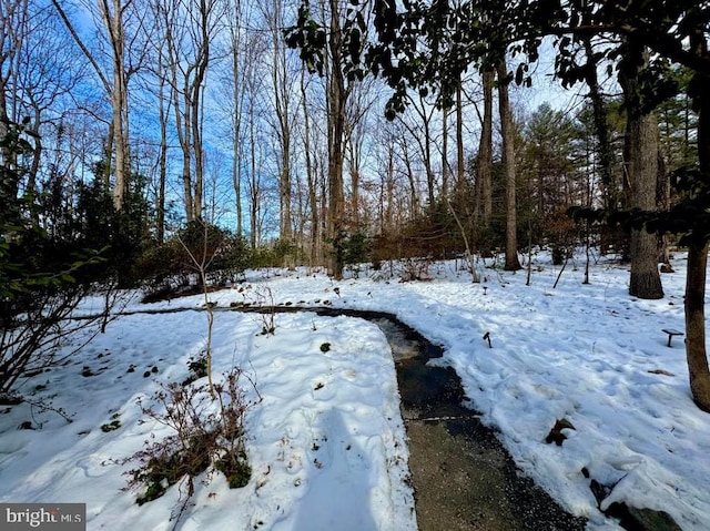 view of snowy yard