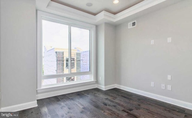2312 Pierce St, Philadelphia, PA 19145 - spare room featuring a raised ceiling and dark wood finished floors