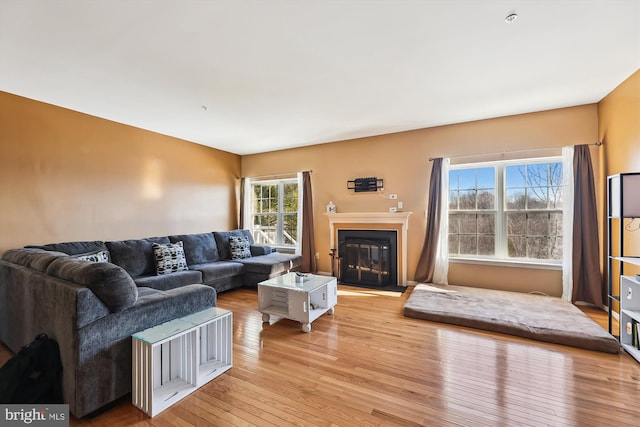 living room with light hardwood / wood-style flooring