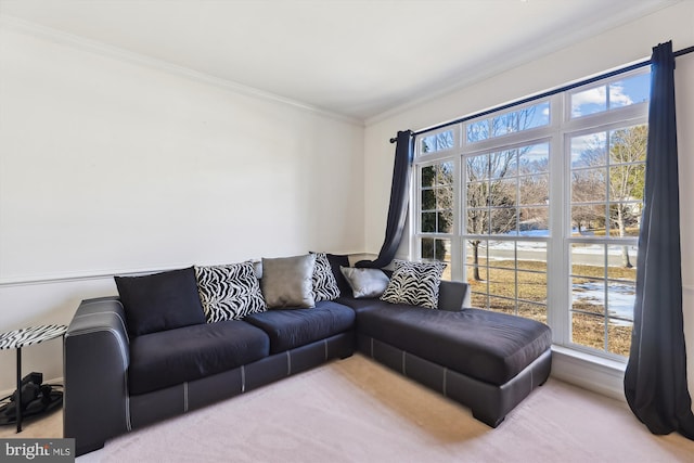 carpeted living room with crown molding