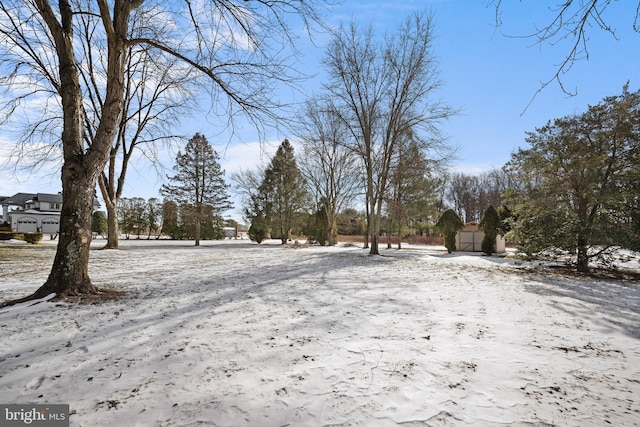 view of yard layered in snow