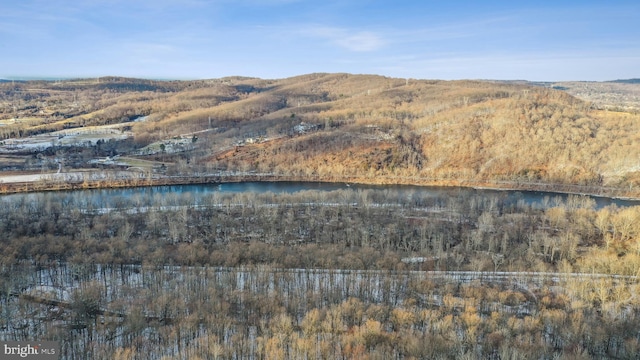 view of mountain feature with a water view