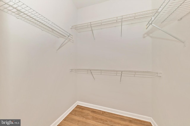 walk in closet with hardwood / wood-style flooring