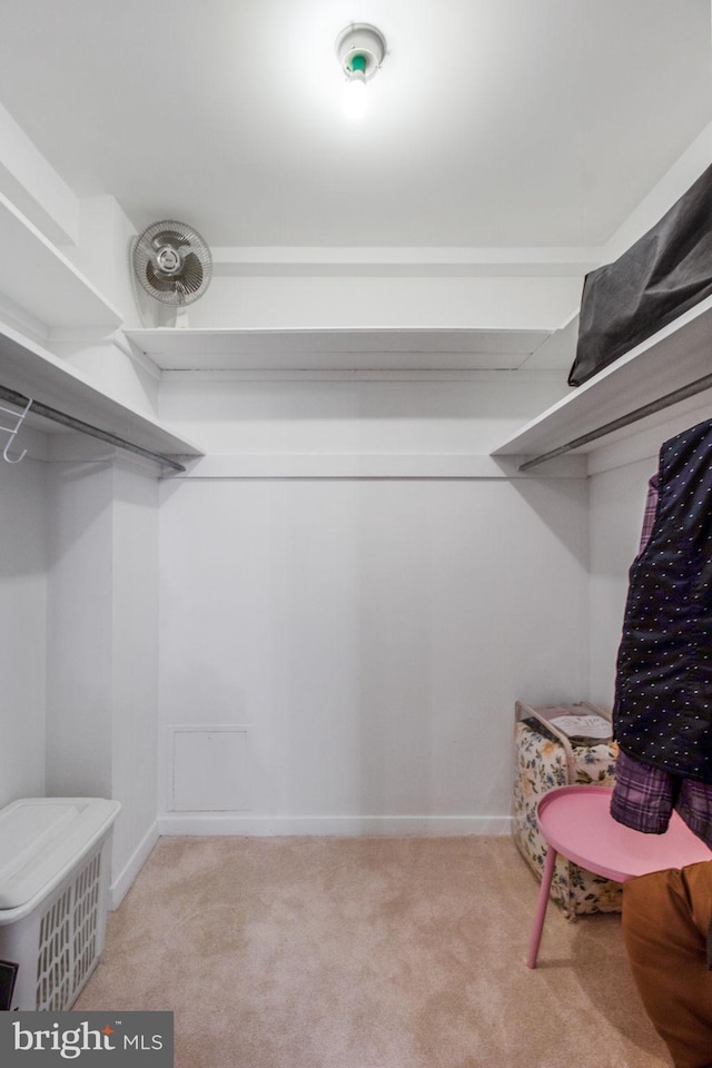 spacious closet featuring light colored carpet